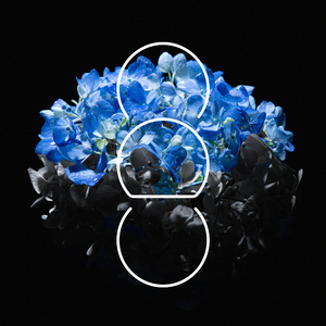 播放关于动漫美女操鸡
